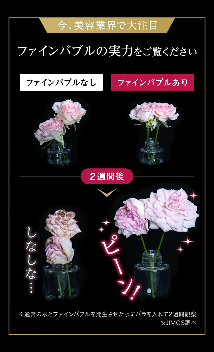 公式]バブル化粧水 薬用マイクロバブルローションつめかえ用