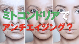 ミトコリーナ公式サイト】遺伝子に働きかけ、ミトコンドリアの量と質を