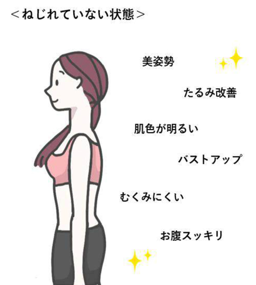 マッコイ| Dolcet ドルセット ボディメイクシャツ