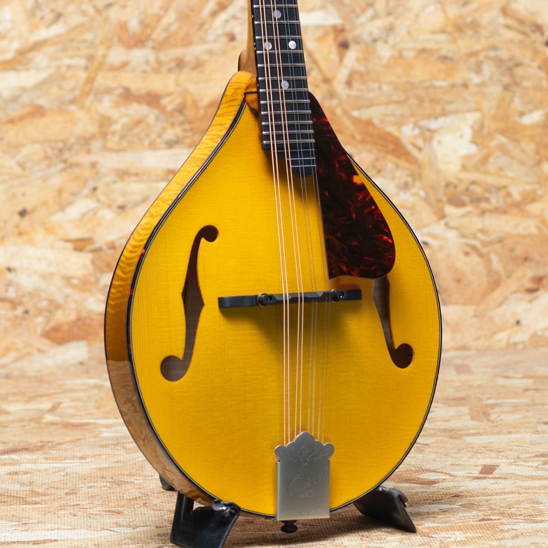 美しき謎のマンドリン サンバースト マンドリン本体 インレイ装飾
