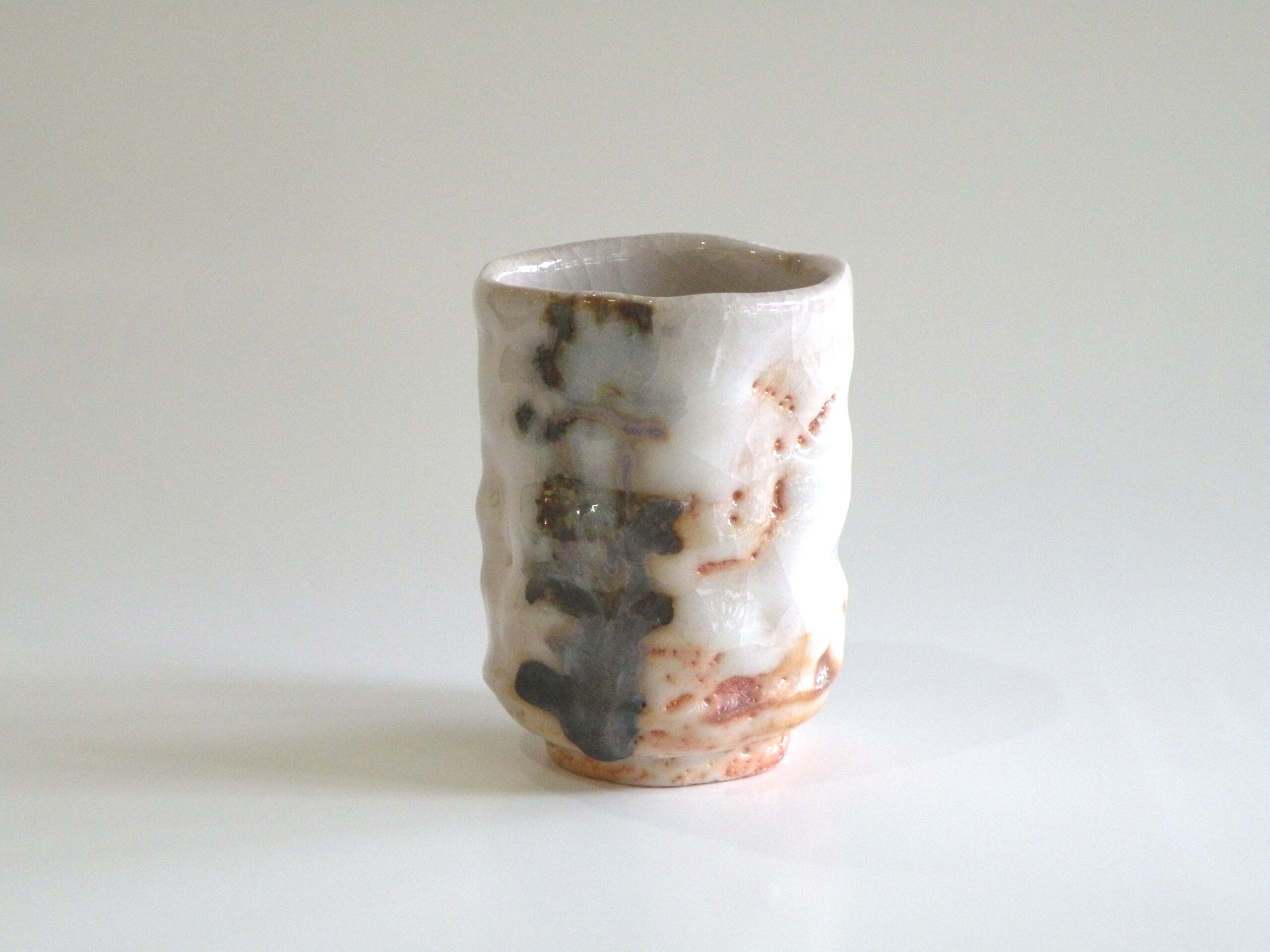 美濃焼伝統工芸品協同組合 | 乾山写雪松深向付