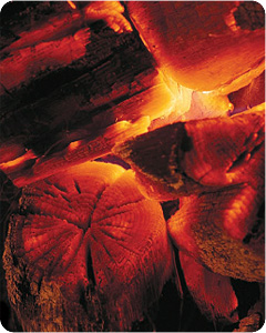 遠赤岩盤マット式部 | 健康商品ラインナップ | 商品情報 | MTG - 私