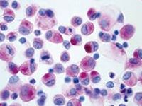 臨床検査用染色液・試薬及び顕微鏡用グラス、替刃等に貢献する武藤化学