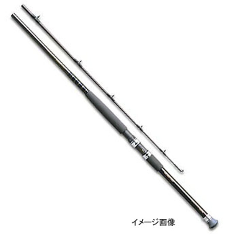 ダイワ(Daiwa) シーバード-V 30/50号-240V 05285392｜アウトドア用品