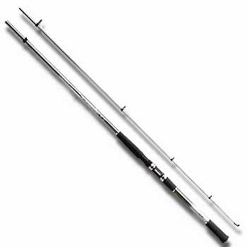 ダイワ(Daiwa) HS シーパラダイス船T 80号 270 05282454｜アウトドア