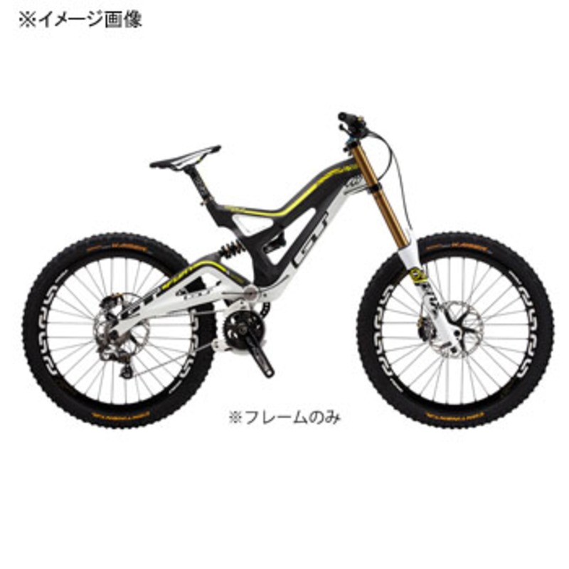 GT(ジーティー) FURY WORLD CUP FRAME マウンテンバイク用カーボン