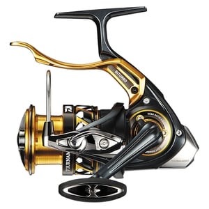 524_1.jpg?20190530121127