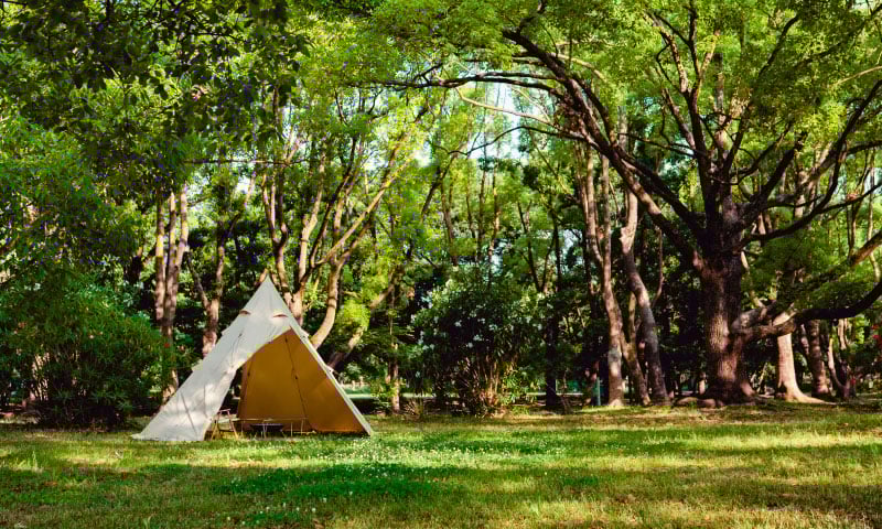 Hilander(ハイランダー) A型フレーム ネヴィス 二股ポール テント