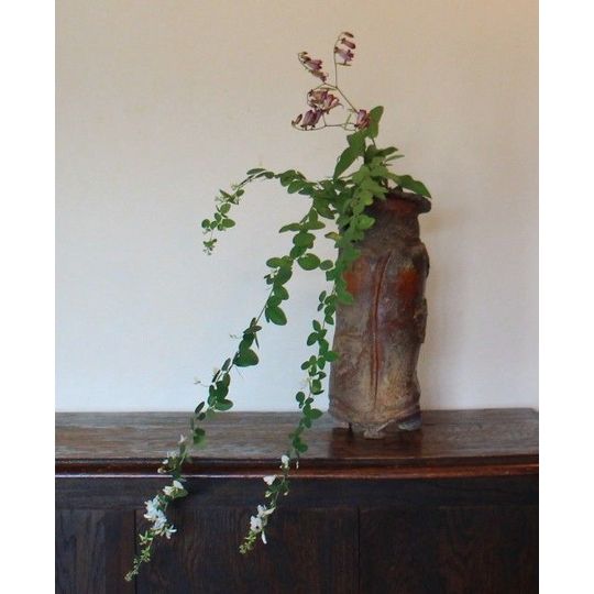 商品詳細｜備前焼、伊賀焼、織部、志野などの陶器通販｜やきもの長縄