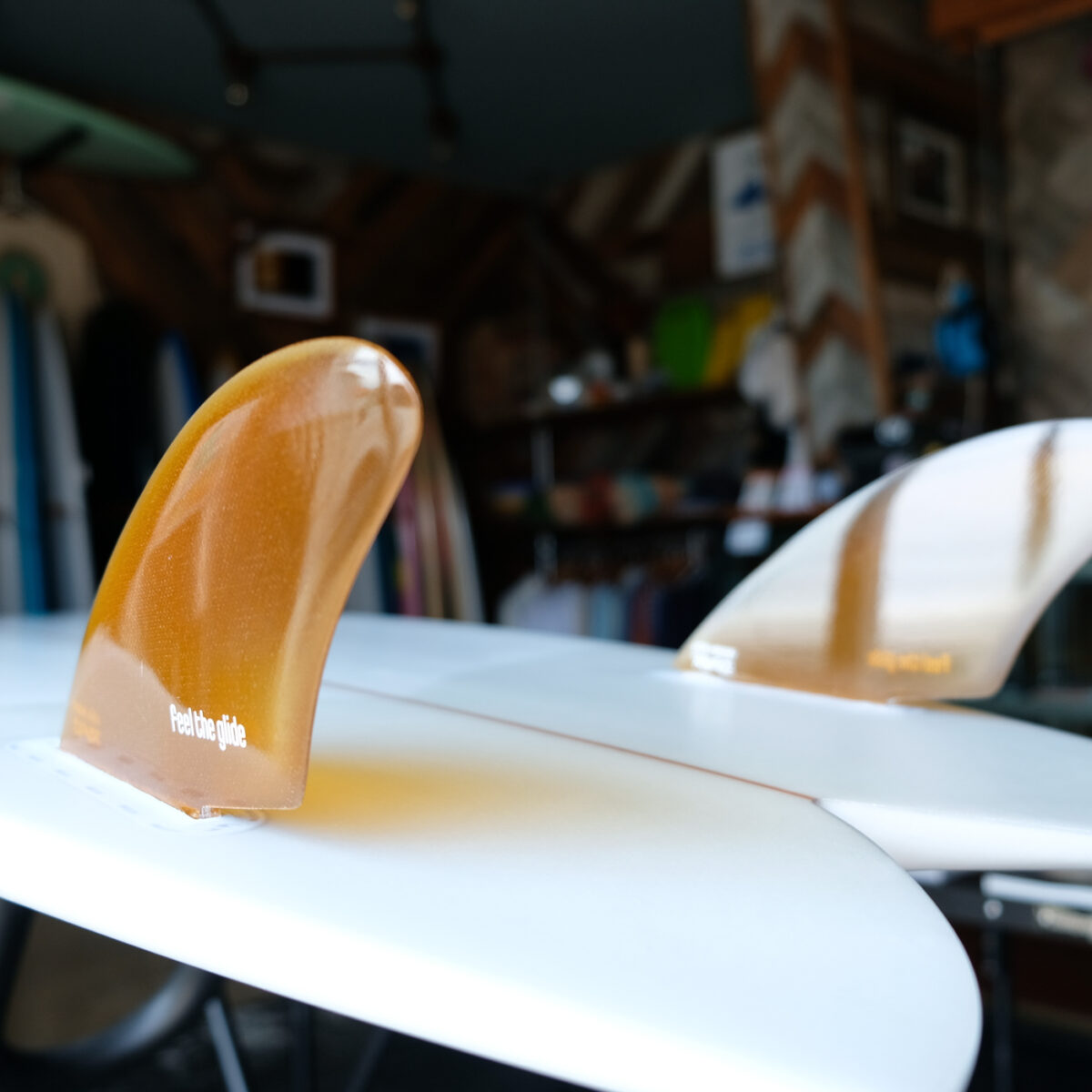 2022年5月21日（土）【RFC（レインボー・フィン ・カンパニー）製の