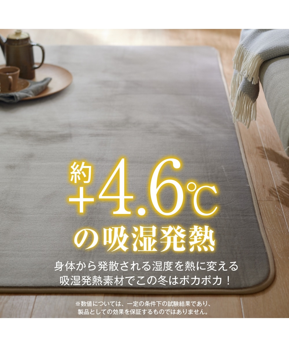 吸湿発熱ラグ｜ウォームコアモイスト・ウレタン入 通販【ニッセン】