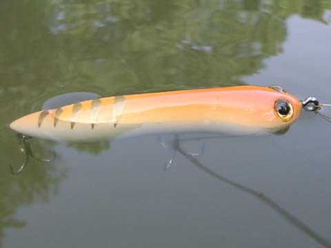 トップウォーター研究室