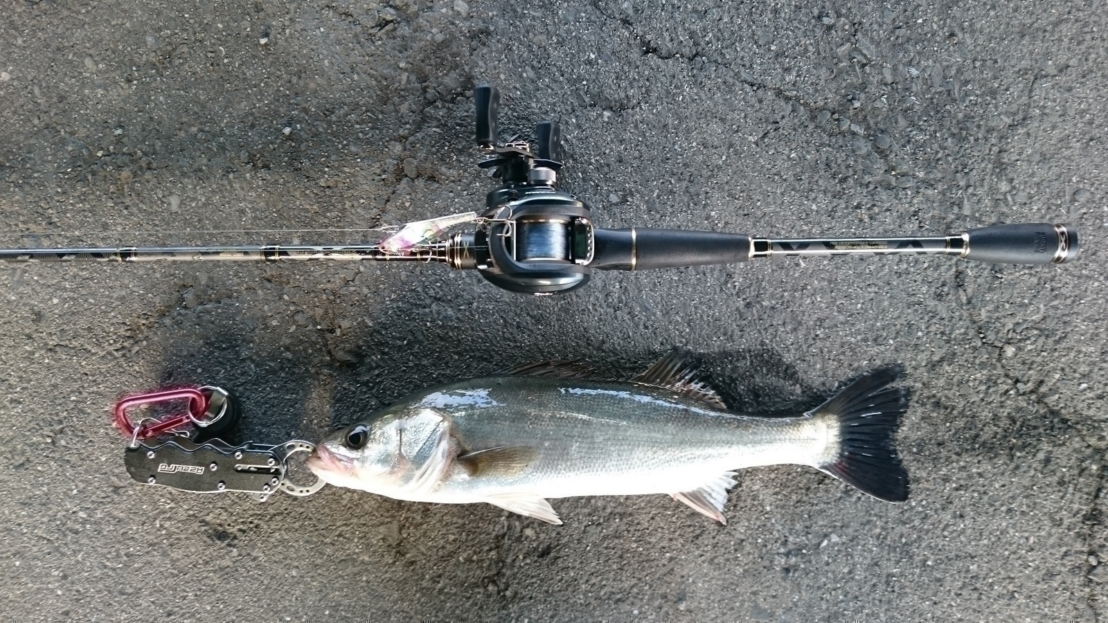 Abu Garcia XROSSFIELD XRFC-702M レビュー - さかなくじ －ランダム