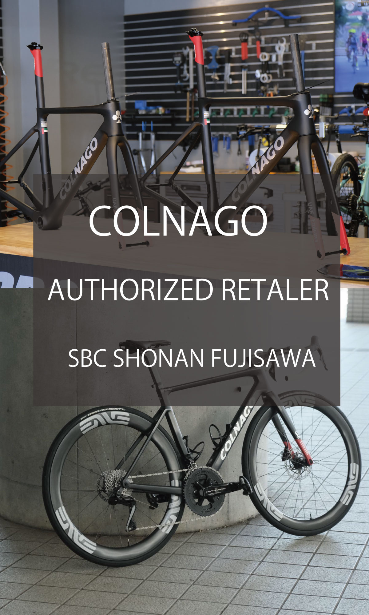 SBC | ロードバイク、クロスバイク、マウンテンバイクなどの自転車専門店