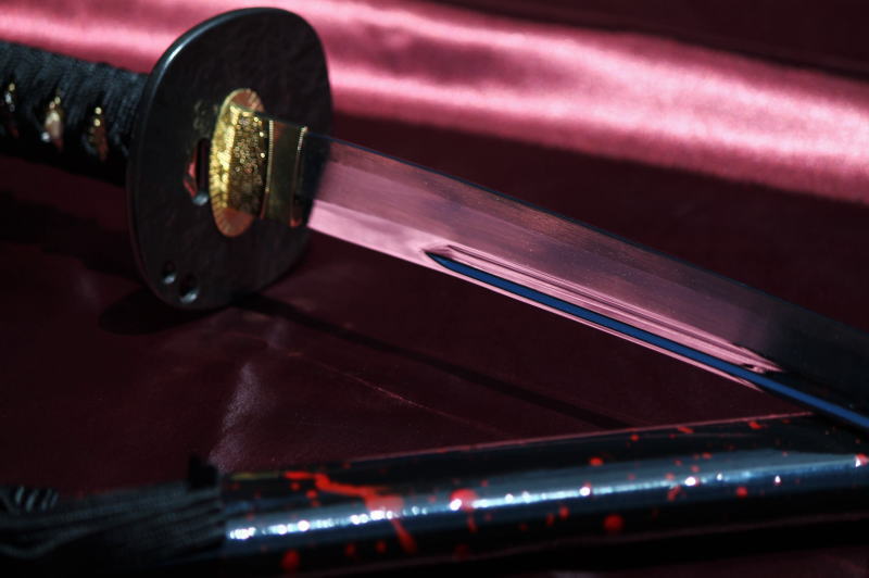 岡田以蔵拵え【肥前忠広 ひぜんただひろ】