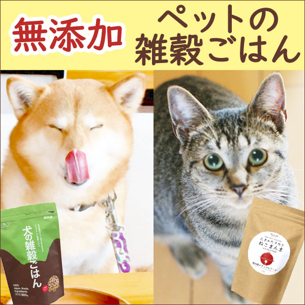 銅・ネオバランサーバンド【ナカイ】骨盤ベルト こつばんべると 腰痛