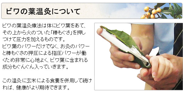 ビワ葉温灸用太棒もぐさ（16本入り）【三栄商会】