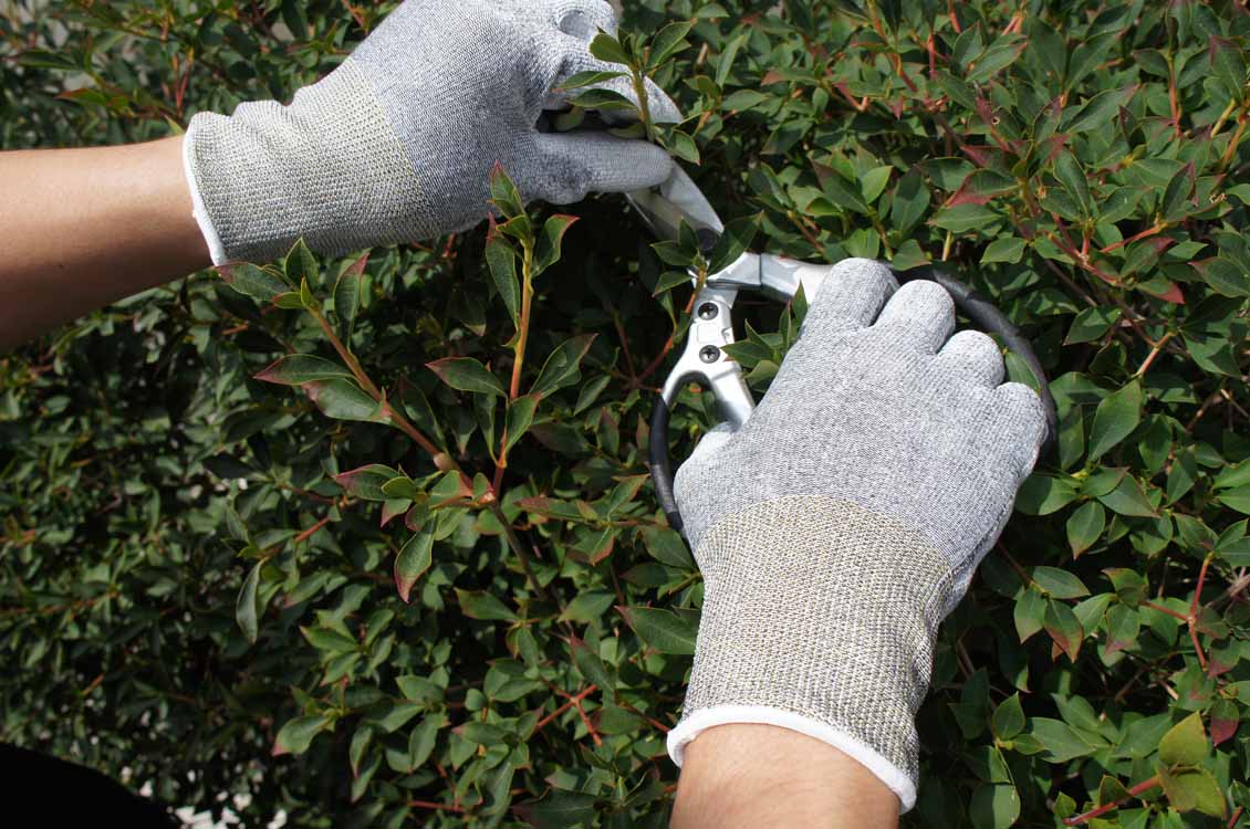 簡易包装ケミスターパームFS 10双 | SHOWA