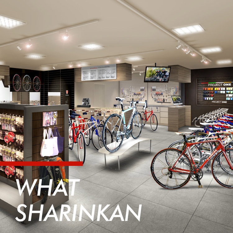 熊本 ロードバイク・クロスバイク・トライアスロン｜しゃりんかん浜線店