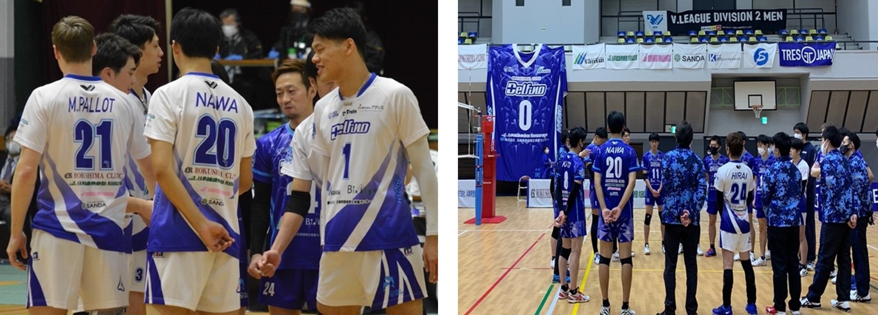 男子バレーボールクラブチーム『兵庫デルフィーノ』と業務提携の