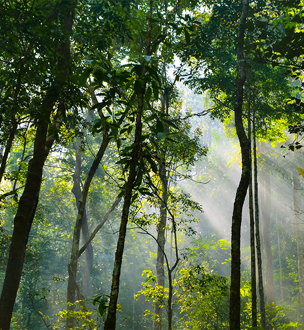 製品：製品情報｜世界初・世界唯一の発酵ヴィーガンスキンケア