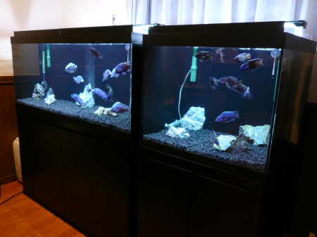 神奈川県相模原市 H 様 4面ブラックアクリル水槽