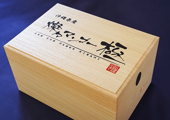 摘果マンゴー（青マンゴー） 沖縄 燦々マンゴー【公式通販2023