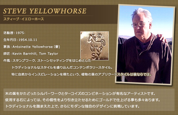 STEVE YELLOWHORSE （スティーブ・イエローホース） ｜ POWWOW