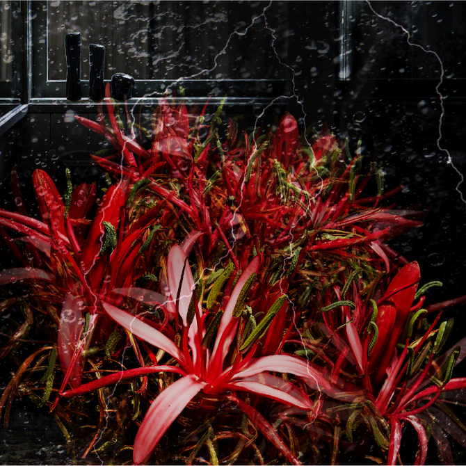 B.A スキンケア | ポーラ公式 エイジングケアと美白・化粧品