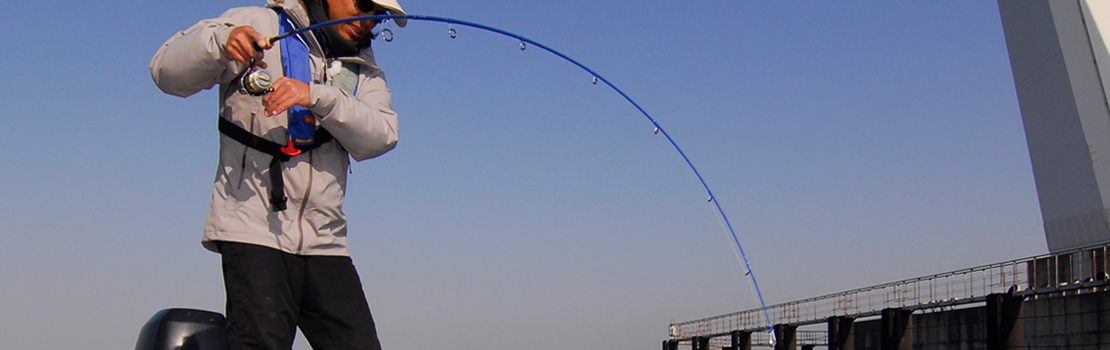 BAYMATIC / ベイマティック ｜PALMS ｜ 株式会社パームス