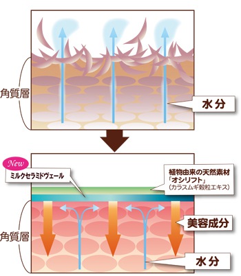 パーリーデュー [ pearlydew ] オフィシャルサイト│山口眞未子