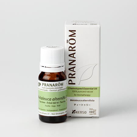 ティートゥリー – プラナロム エッセンシャルオイル・精油｜健草医学舎