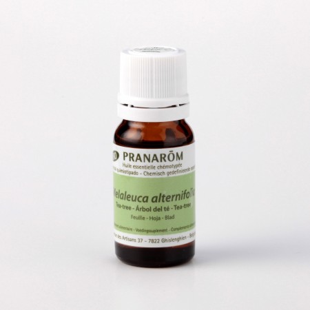 ティートゥリー – プラナロム エッセンシャルオイル・精油｜健草医学舎