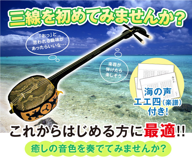 楽天市場】【初心者入門用・格安三線セット】沖縄三線14点セット（B