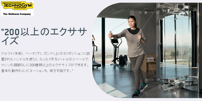 楽天市場】テクノジム Kinesis PERSONAL VISION キネシスパーソナル