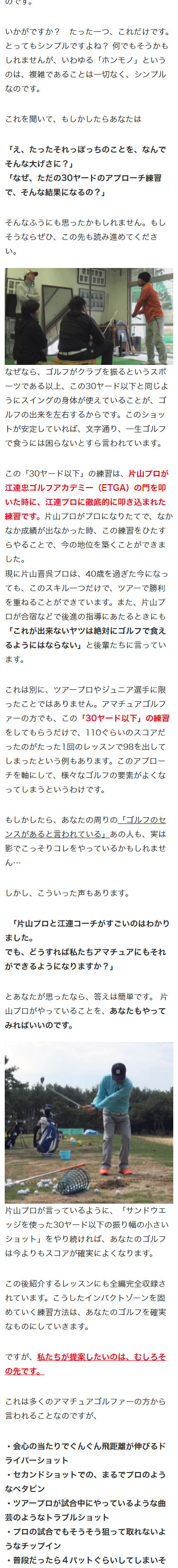 楽天市場】片山晋呉の「オレなら、これひとつだけしかやらないね