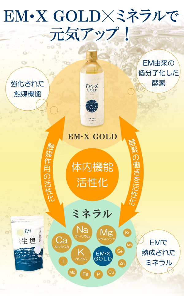 楽天市場】EM・Xゴールド（500ml）【10本セット】【EM生活】【いつでも