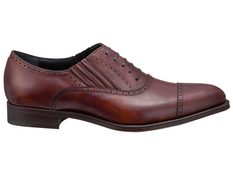 SHETLANDFOX 【サザーク】 パンチドキャップトウ（120FSF） | 靴の