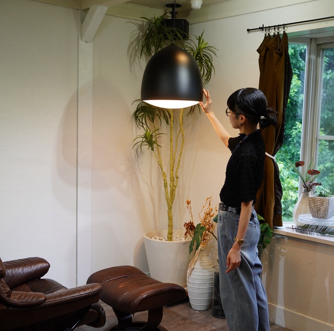 フリッツハンセン / FRITZ HANSEN サスペンス / SUSPENCE P2 ライト