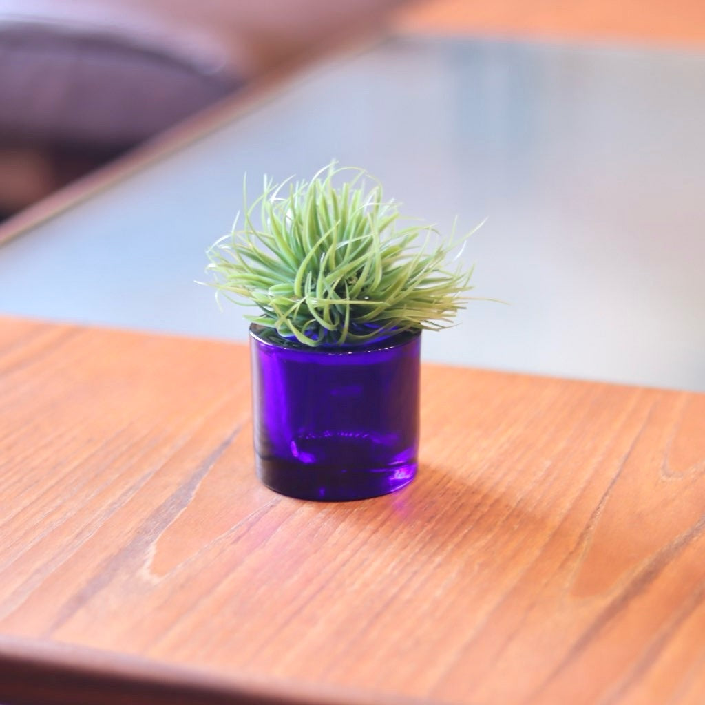 イッタラ / iittala kivi マリメッココラボ キャンドルホルダー