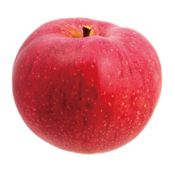 美紅（みく）・HFF33 - りんご大学