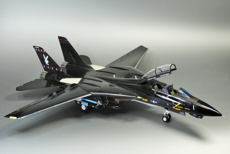 F-14D VX-9 VANDY1 （タミヤ 1/48）＞ 特集 F-14 トムキャット＞2022年