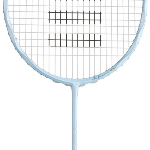 ウインザーオンラインショップ【張り工賃別】ゴーセン インフェルノ