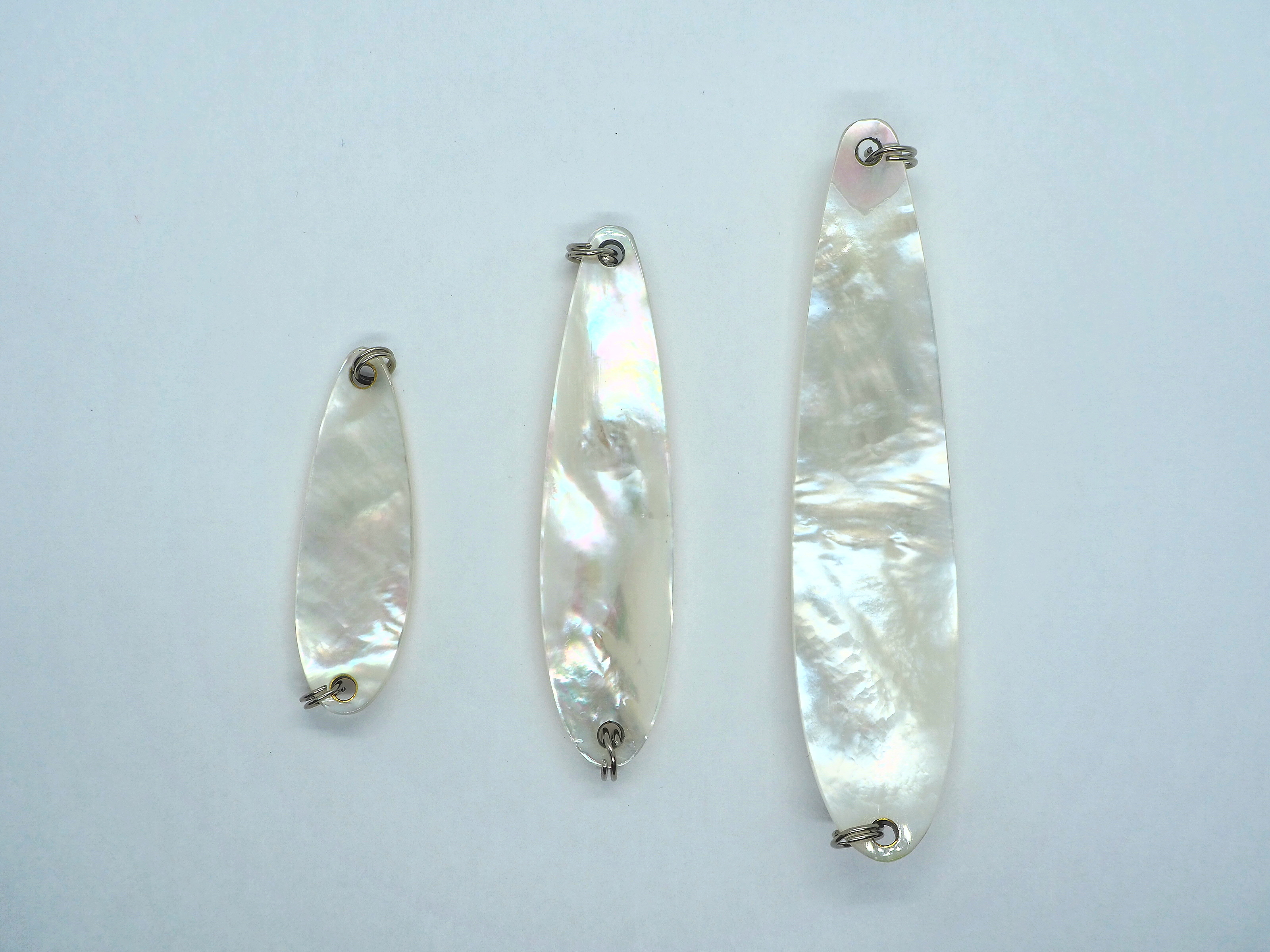 白蝶貝 - WISE CUSTOM