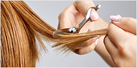 プレミアムクイーン - TOGINON