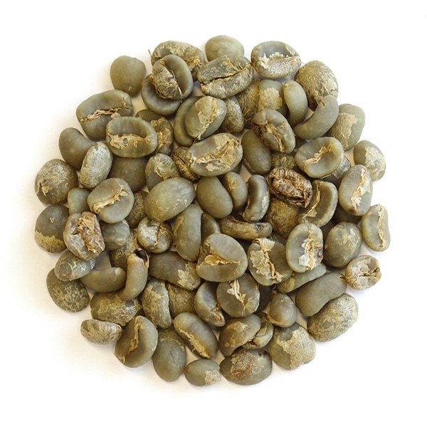 マンデリンG1: コーヒー | コーヒー通販サイト 珈琲問屋オンラインストア