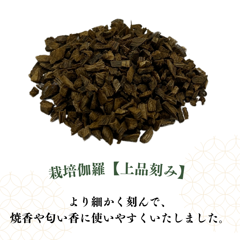栽培伽羅・沈香【数量限定】