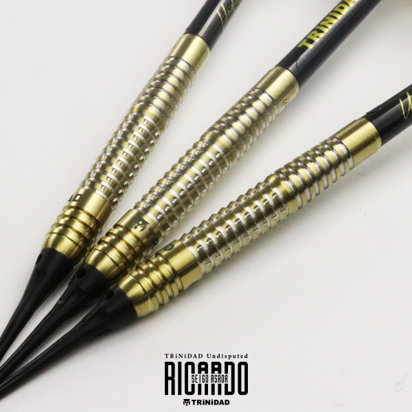 ダーツ バレル TRiNiDAD Undisputed RICARDO 浅田斉吾 選手モデル