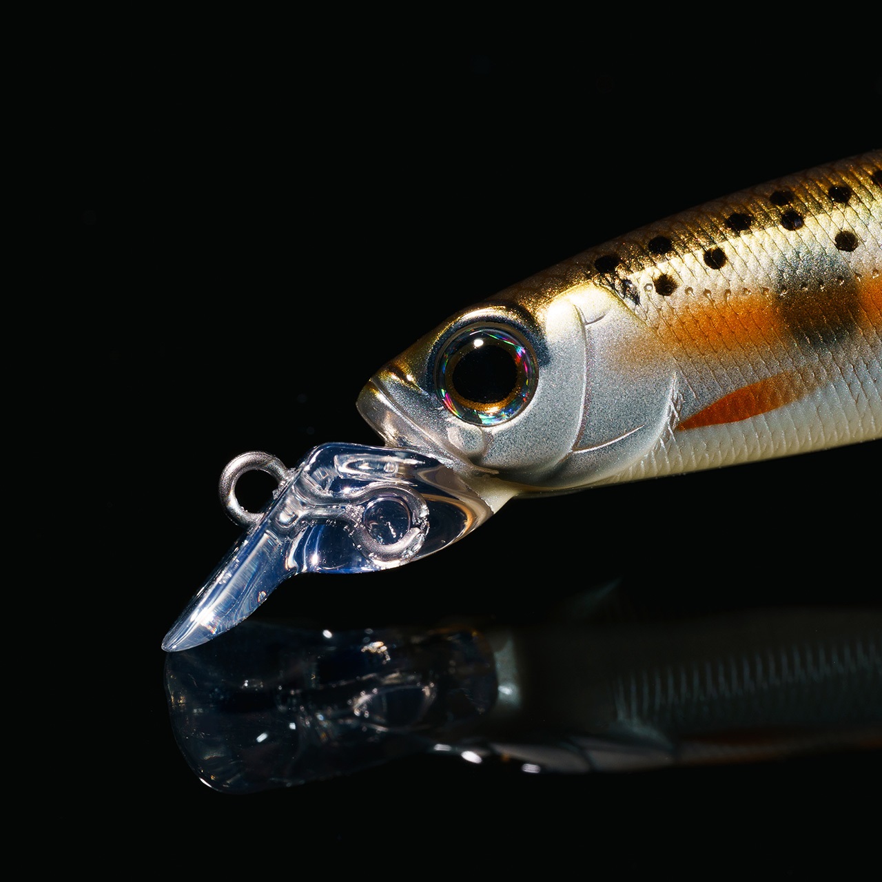 ルアー・フライ Hawghunter 9.5 Floater Hawghunter 9.5 Floater Baits