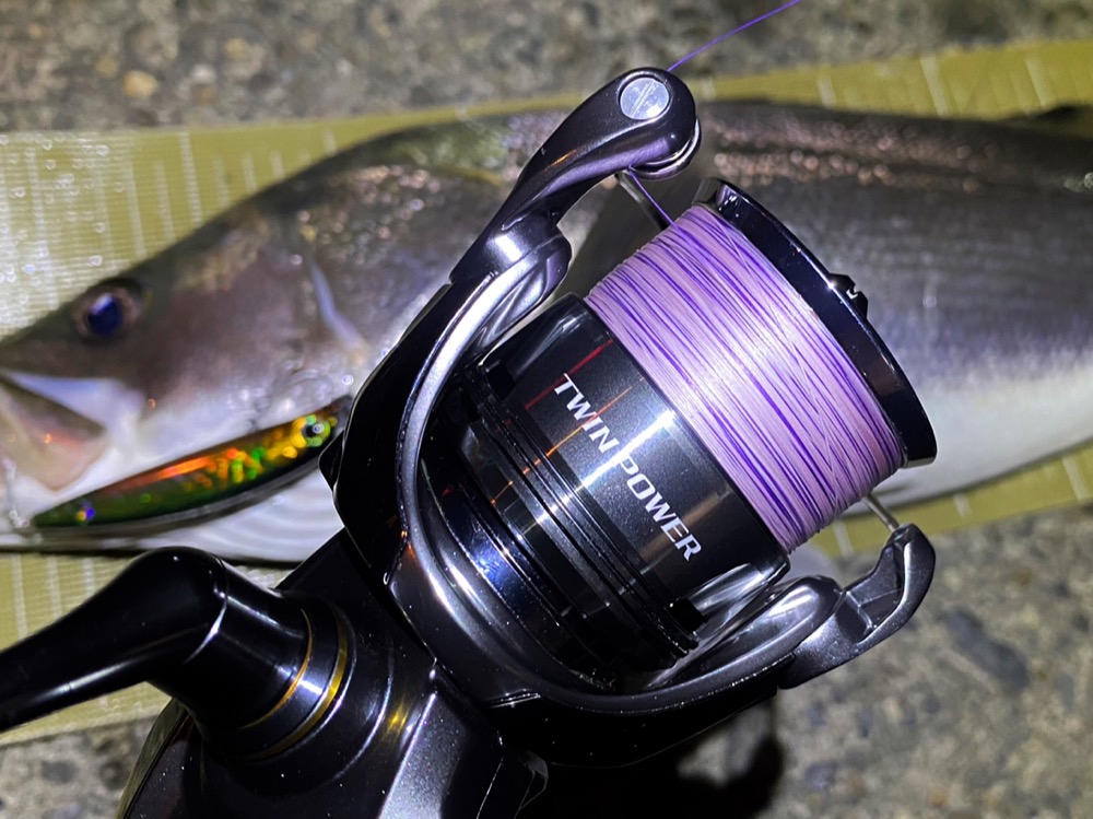 夏のシーバス釣り！少ないチャンスをものにする「シーバスマックス